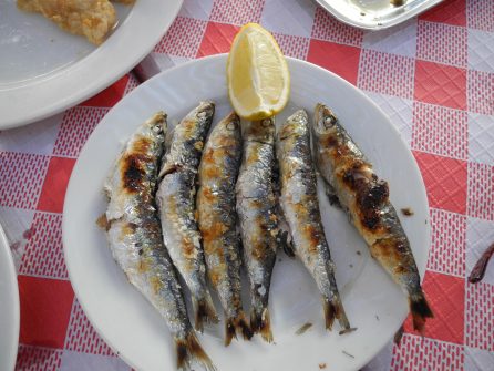Boquerones - Dinge tun in Malaga - Spanischkurse bei CILE
